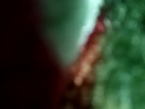 Rittik00 online show from January 11, 2026, 2:35 pm