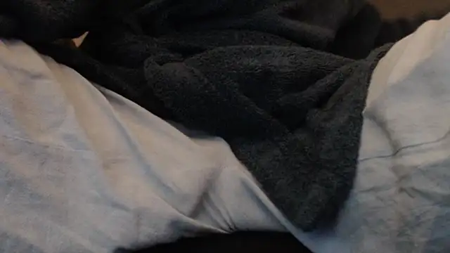 Snapshot of herver67 chatting on December 21, 2025, 12:51 pm herver67 online show from December 21, 2025, 12:51 pm