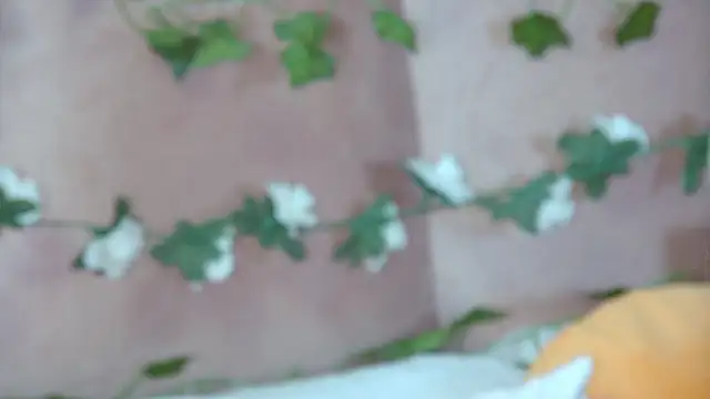 GentleRossi online show from April 8, 2026, 2:07 pm