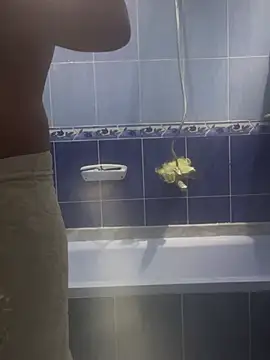 Arabien Pharaoh- online show from March 20, 2025, 5:58 pm