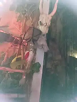 k lebannon online show from March 9, 2025, 11:35 pm