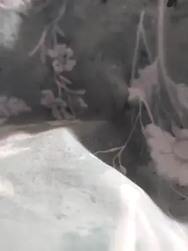 Elixire1 online show from January 6, 2026, 4:33 pm