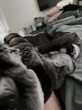 Snapshot of Furdale chatting on October 30, 2025, 2:14 pm Furdale online show from October 30, 2025, 2:14 pm