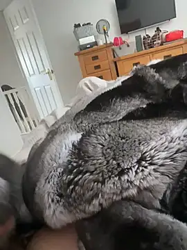 Furdale online show from April 18, 2026, 10:28 am