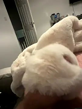 Snapshot of Furdale chatting on November 6, 2025, 5:28 pm Furdale online show from November 6, 2025, 5:28 pm