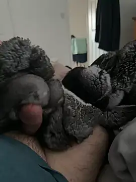 Furdale online show from April 21, 2026, 6:03 pm