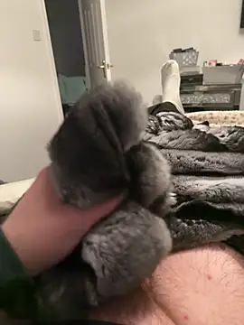 Furdale online show from February 12, 2026, 7:13 pm