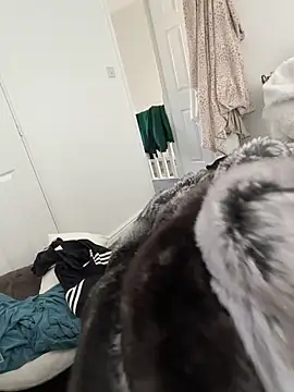 Furdale online show from March 8, 2026, 12:41 pm