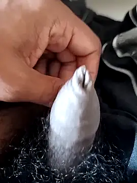 malluflash online show from February 14, 2026, 8:03 am