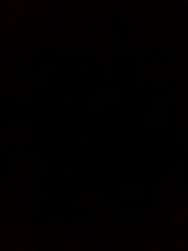 Snapshot of rodovlaz chatting on October 5, 2025, 1:24 pm rodovlaz online show from October 5, 2025, 1:24 pm