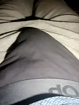 Snapshot of rodovlaz chatting on November 15, 2025, 4:27 am rodovlaz online show from November 15, 2025, 4:27 am