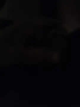 Iamfuckboy098 online show from May 26, 2026, 8:29 pm