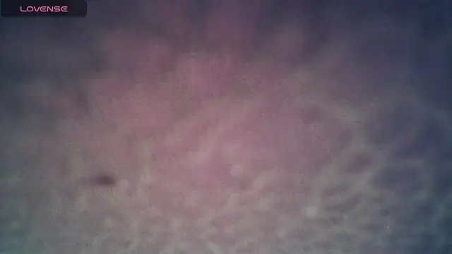 SexDiffrent online show from November 27, 2025, 7:36 pm