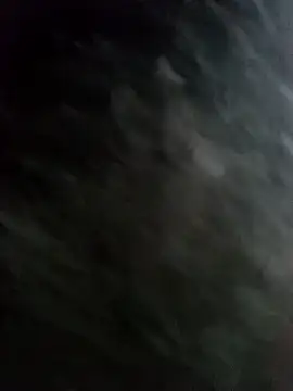 Snapshot of 22orlando chatting on November 19, 2025, 5:24 pm 22orlando online show from November 19, 2025, 5:24 pm