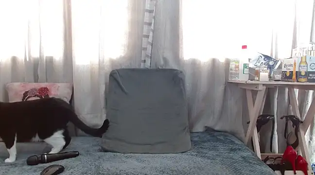 Snapshot of Boonny_Boo01 chatting on February 1, 2025, 1:41 pm Boonny Boo01 online show from February 1, 2025, 1:41 pm