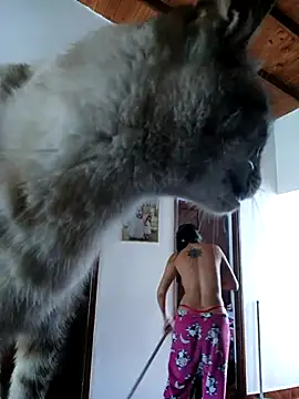 Snapshot of LunaZambrano chatting on December 14, 2025, 3:06 pm LunaZambrano online show from December 14, 2025, 3:06 pm