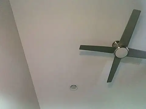 Londonfrotadejr online show from March 7, 2025, 12:45 pm