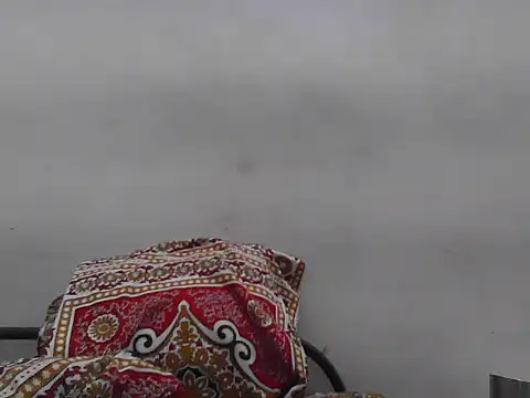 Snapshot of Roxy_Hard chatting on June 12, 2026, 11:19 am Roxy Hard online show from June 12, 2026, 11:19 am