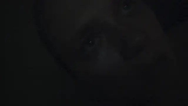 Snapshot of FrumCake chatting on January 15, 2025, 12:41 am FrumCake online show from January 15, 2025, 12:41 am