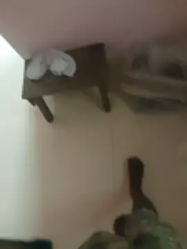 anjaanarun online show from November 10, 2025, 3:11 am