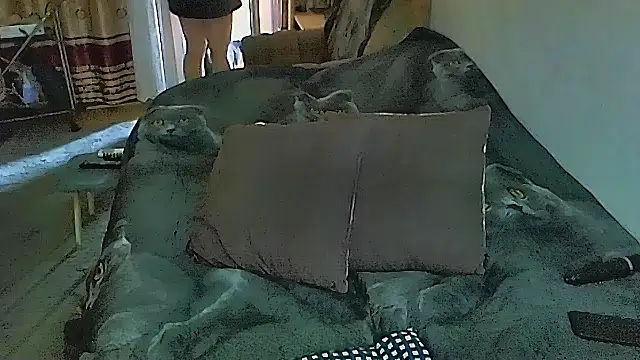 Snapshot of sex2 chatting on November 5, 2025, 1:09 am sex2 online show from November 5, 2025, 1:09 am