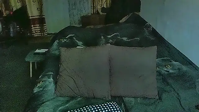 sex2 online show from March 3, 2026, 9:55 pm