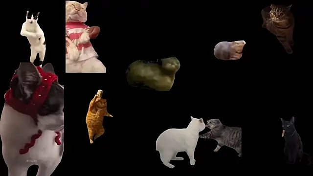 Snapshot of aberaaruba chatting on November 5, 2025, 11:57 am aberaaruba online show from November 5, 2025, 11:57 am