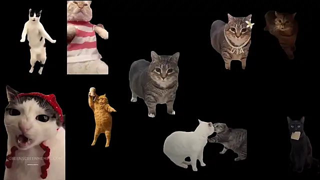 Snapshot of aberaaruba chatting on November 10, 2025, 10:09 am aberaaruba online show from November 10, 2025, 10:09 am