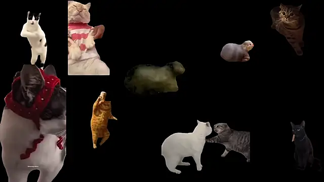 Snapshot of aberaaruba chatting on November 20, 2025, 2:51 pm aberaaruba online show from November 20, 2025, 2:51 pm