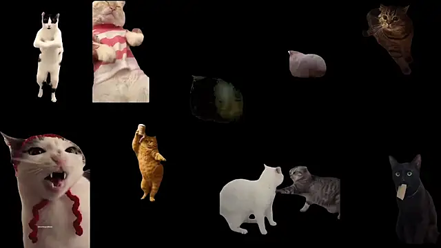 Snapshot of aberaaruba chatting on October 23, 2025, 9:41 am aberaaruba online show from October 23, 2025, 9:41 am