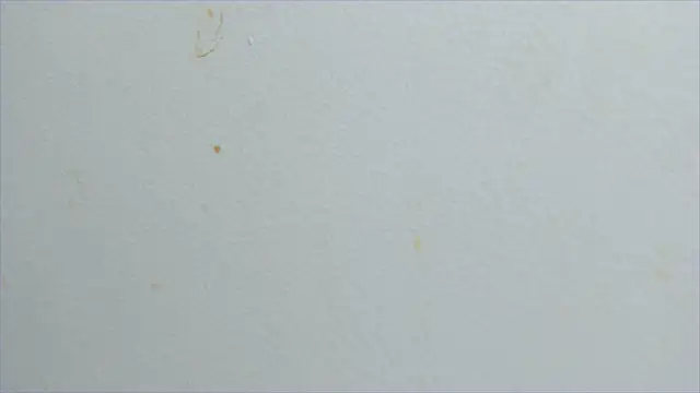 lisa2018 online show from February 21, 2025, 11:10 pm