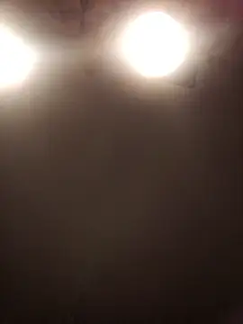 lilianashemale online show from November 1, 2025, 3:13 am