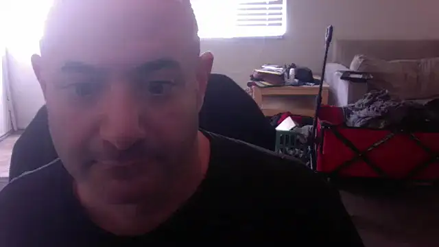 palidin1 online show from November 24, 2025, 9:37 pm