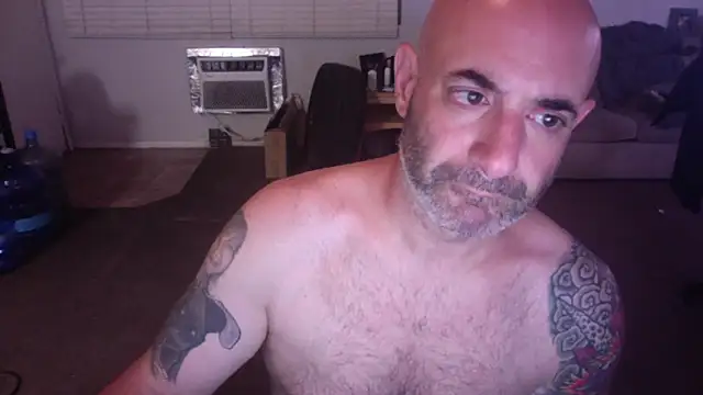 Snapshot of palidin1 chatting on April 22, 2026, 5:36 am palidin1 online show from April 22, 2026, 5:36 am