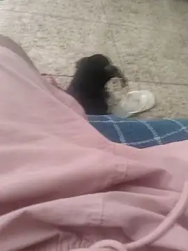 vini4016 online show from December 20, 2024, 12:05 pm