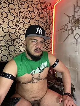 the master foal  online show from February 27, 2026, 7:03 pm