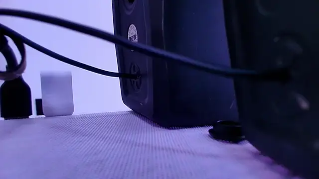 shelsyloreds online show from November 27, 2025, 11:54 am