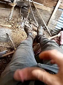 Yaramaz331 online show from March 26, 2026, 8:23 am