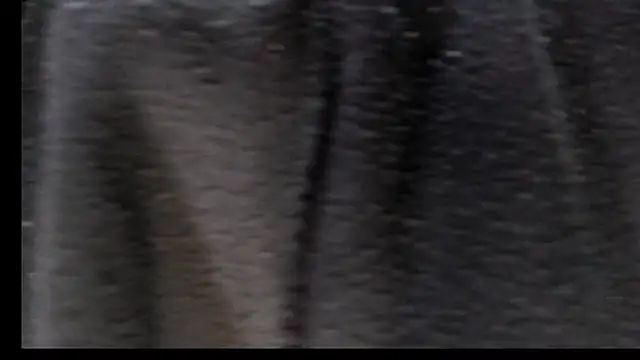 Justin Frank online show from February 22, 2026, 5:03 pm