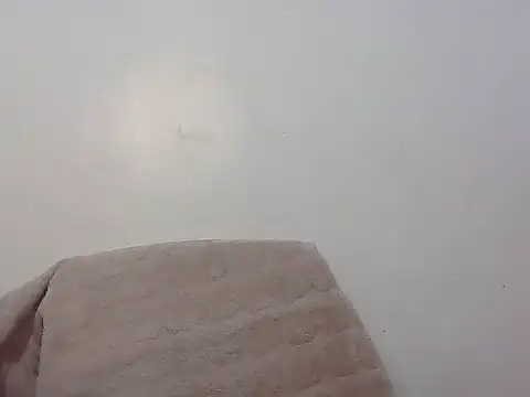 wild amber25 online show from November 29, 2025, 8:14 am