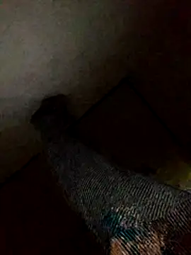 Annerae online show from November 4, 2025, 6:06 am