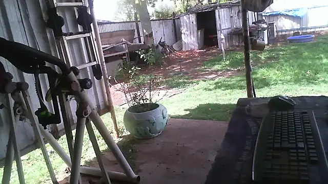 herbie010666 online show from December 15, 2025, 4:40 am