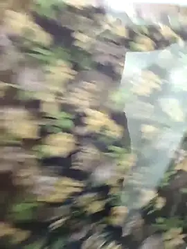 Snapshot of yoursana- chatting on October 29, 2025, 4:55 am yoursana- online show from October 29, 2025, 4:55 am