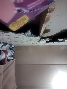 BadAssBitchMakayla online show from February 8, 2026, 11:46 pm