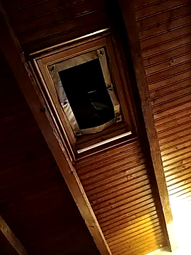 CurlyElisa online show from February 26, 2026, 9:37 pm