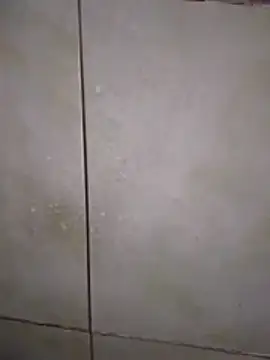 Xxxfill online show from November 27, 2025, 3:40 am