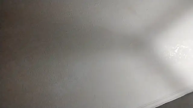 247Srokin online show from October 10, 2025, 4:35 am