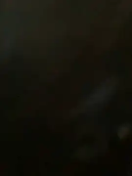 bea3liz online show from January 23, 2025, 5:31 pm