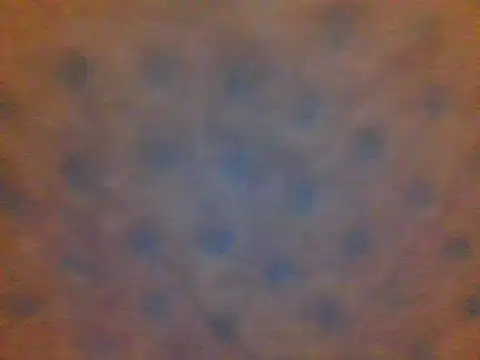 xsexy on91 online show from February 13, 2025, 8:34 pm