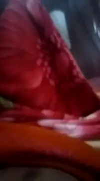 Snapshot of Emanuel45js chatting on February 16, 2025, 12:21 pm Emanuel45js online show from February 16, 2025, 12:21 pm